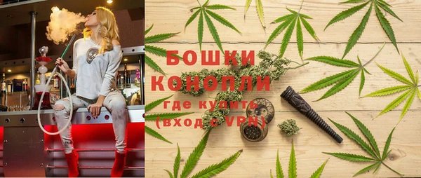 тгк Богданович