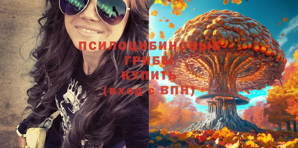 герыч Богородск