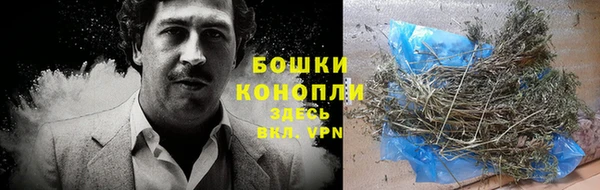 тгк Богданович