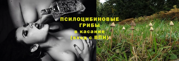 марки lsd Бородино