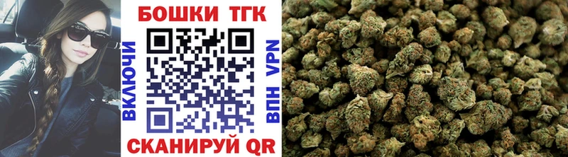 Конопля конопля Северская